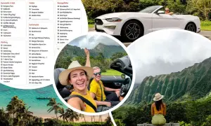 Packliste Holland: Dokumente, Kleidung, Schuhe, Kulturbeutel & Reiseapotheke für den perfekten Roadtrip.