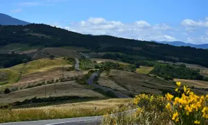 Eine kurvige Straße schlängelt sich durch die sanften Hügel der Toskana. Gelbe Ginsterbüsche blühen am Wegesrand. Ein perfekter Ort für einen Toskana Urlaub.