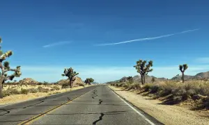 Endlose Straße durch die Wüste Kaliforniens, ein perfekter Start für eine Rundreise USA. Joshua Trees säumen den Weg.