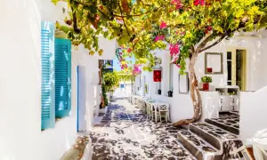 Idyllische Gasse auf Paros, Griechenland, mit blühenden Bougainvillea, weiß getünchten Häusern und Tischen eines Cafés.
