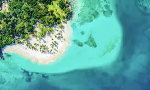 Traumhafter Strand mit Palmen und türkisfarbenem Wasser. Perfekte Urlaub in der Karibik Tipps für Entspannung und Sonne.