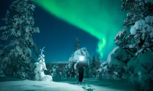 Ein einsamer Wanderer genießt den magischen Lappland Urlaub unter dem Nordlicht. Schneebedeckte Bäume und Sterne bilden die Kulisse.