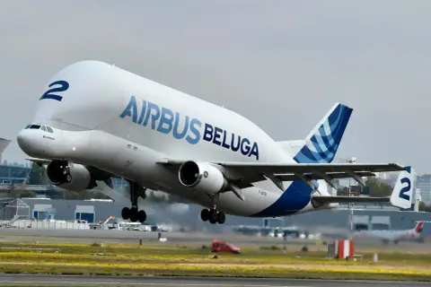 Das Airbus Beluga Flugzeug hebt vom Boden ab.