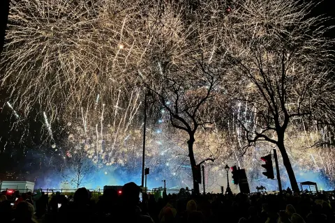 Silvester in London: Ein Meer aus goldenem Feuerwerk erhellt den Nachthimmel über einer jubelnden Menge, Bäume ragen silhouettenhaft empor.