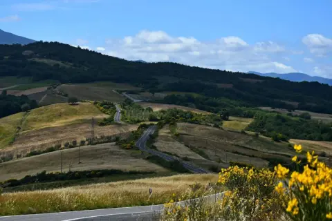 Eine kurvige Straße schlängelt sich durch die sanften Hügel der Toskana. Gelbe Ginsterbüsche blühen am Wegesrand. Ein perfekter Ort für einen Toskana Urlaub.