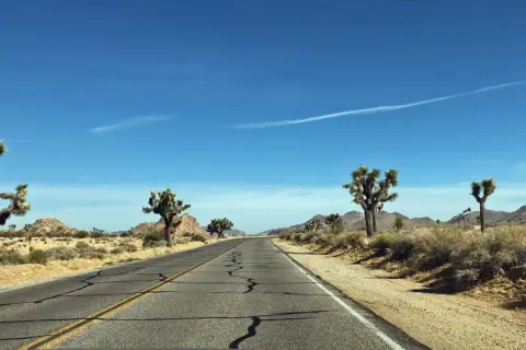 Endlose Straße durch die Wüste Kaliforniens, ein perfekter Start für eine Rundreise USA. Joshua Trees säumen den Weg.