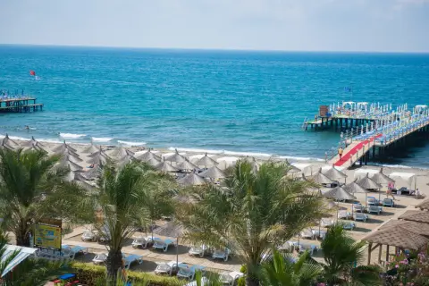 Sonne, Strand und Meer am quattro beach spa & resort. Liegestühle unter Strohschirmen, Palmen und ein langer Steg mit rotem Teppich laden zum Entspannen ein.