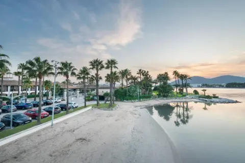 Strand mit Palmen und dem Hotel Alcudiamar im Hintergrund, ruhiges Wasser spiegelt den Himmel.
