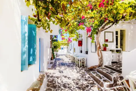 Idyllische Gasse auf Paros, Griechenland, mit blühenden Bougainvillea, weiß getünchten Häusern und Tischen eines Cafés.