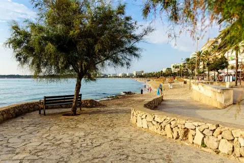 Ein Baum und eine Bank am Ufer der bucht Cala Millor. Im Hintergrund der Strand mit Palmen und Hotels.