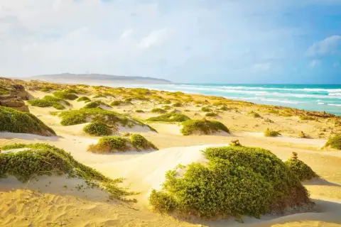 Sanddünen mit grüner Vegetation und dem türkisfarbenen Meer im Hintergrund, ein malerischer Blick auf Boa Vista.