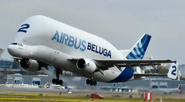 Das Airbus Beluga Flugzeug hebt vom Boden ab.