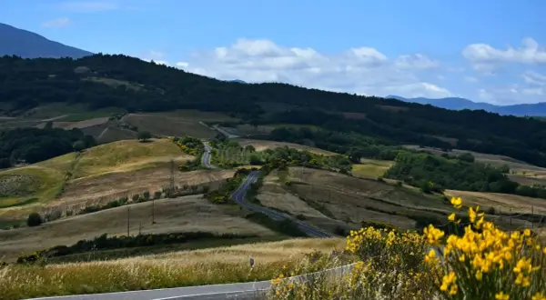 Eine kurvige Straße schlängelt sich durch die sanften Hügel der Toskana. Gelbe Ginsterbüsche blühen am Wegesrand. Ein perfekter Ort für einen Toskana Urlaub.