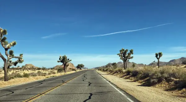 Endlose Straße durch die Wüste Kaliforniens, ein perfekter Start für eine Rundreise USA. Joshua Trees säumen den Weg.