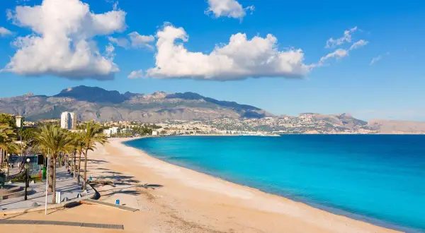 Traumhafter Strand mit Palmen und türkisfarbenem Meer. Perfekt für eine Reise mit dem Auto ans Mittelmeer.