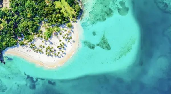 Traumhafter Strand mit Palmen und türkisfarbenem Wasser. Perfekte Urlaub in der Karibik Tipps für Entspannung und Sonne.