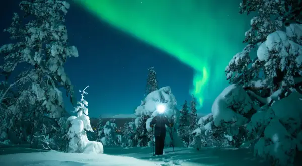 Ein einsamer Wanderer genießt den magischen Lappland Urlaub unter dem Nordlicht. Schneebedeckte Bäume und Sterne bilden die Kulisse.