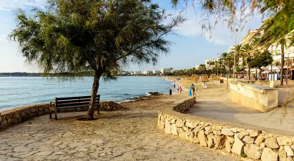 Ein Baum und eine Bank am Ufer der bucht Cala Millor. Im Hintergrund der Strand mit Palmen und Hotels.