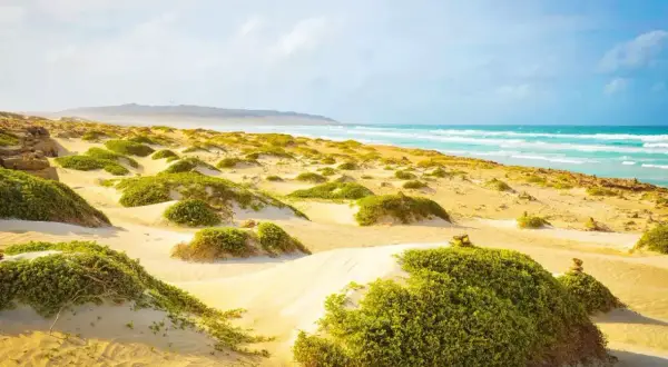 Sanddünen mit grüner Vegetation und dem türkisfarbenen Meer im Hintergrund, ein malerischer Blick auf Boa Vista.