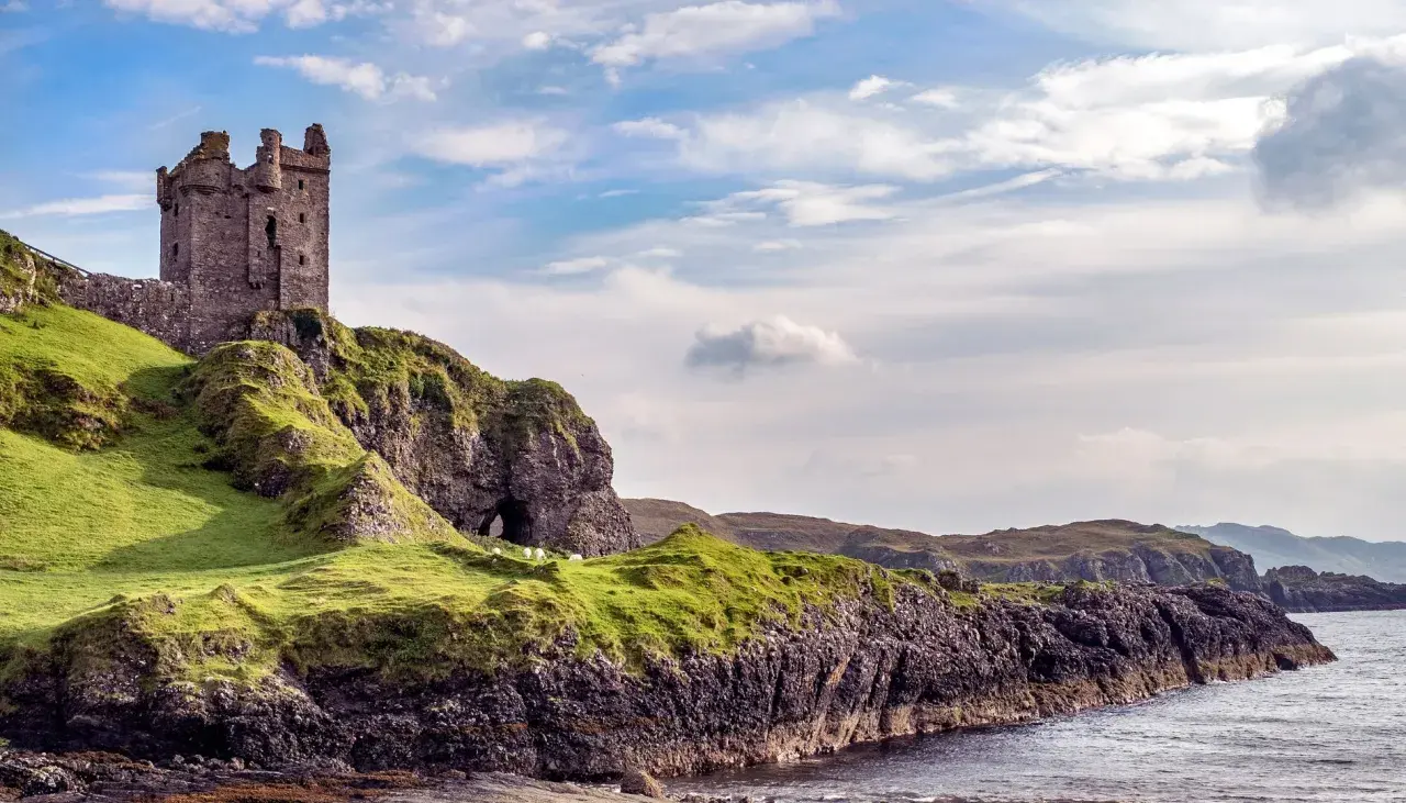 Ruinen einer Burg auf einem grünen Hügel über dem Meer. Schafe grasen friedlich. Was sollte man in Schottland nicht tun? Nicht hierher reisen!