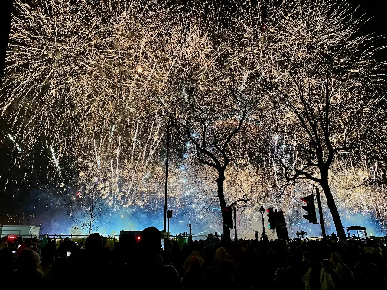 Silvester in London: Ein Meer aus goldenem Feuerwerk erhellt den Nachthimmel über einer jubelnden Menge, Bäume ragen silhouettenhaft empor.