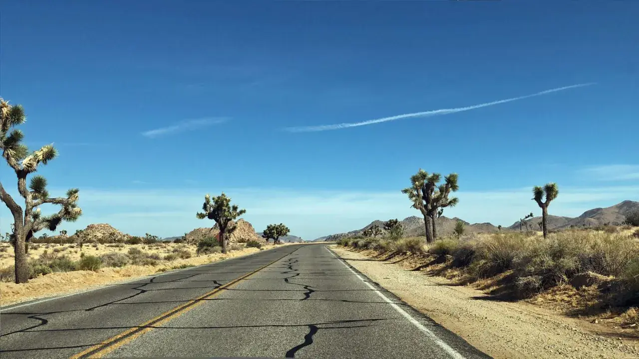 Endlose Straße durch die Wüste Kaliforniens, ein perfekter Start für eine Rundreise USA. Joshua Trees säumen den Weg.