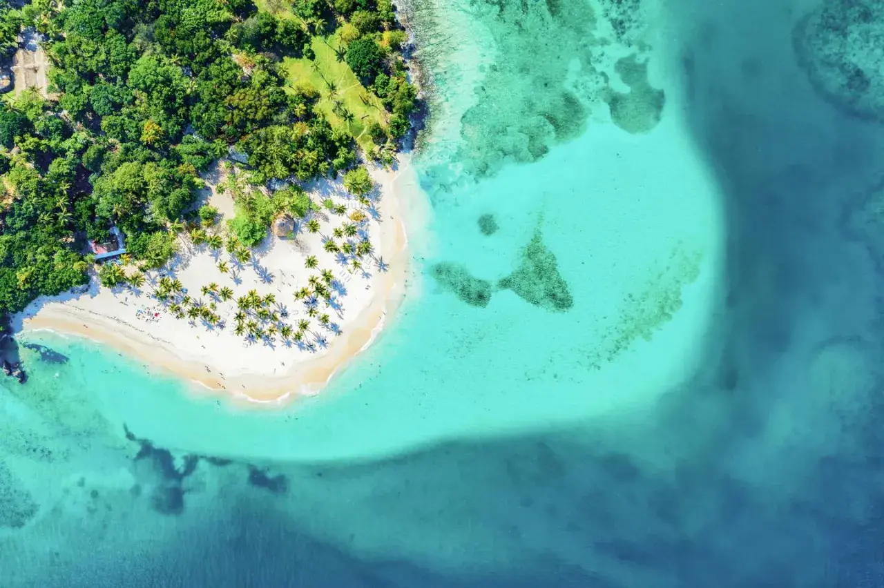 Traumhafter Strand mit Palmen und türkisfarbenem Wasser. Perfekte Urlaub in der Karibik Tipps für Entspannung und Sonne.