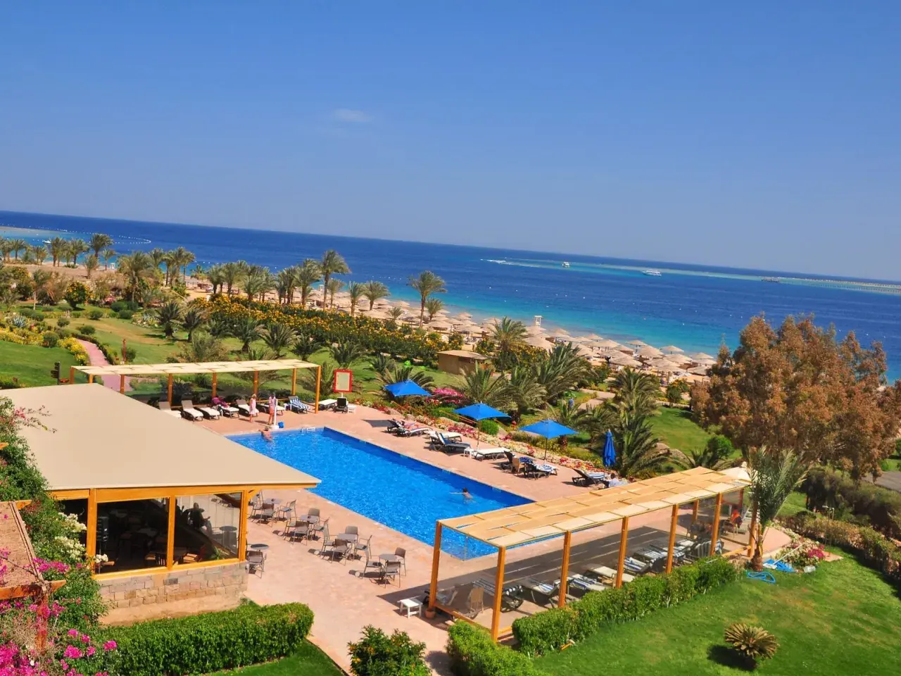 Ein luxuriöser Poolbereich mit Blick auf das Meer und den Strand des Fort Arabesque West Bay. Palmen und Sonnenschirme säumen den Weg zum türkisfarbenen Wasser.