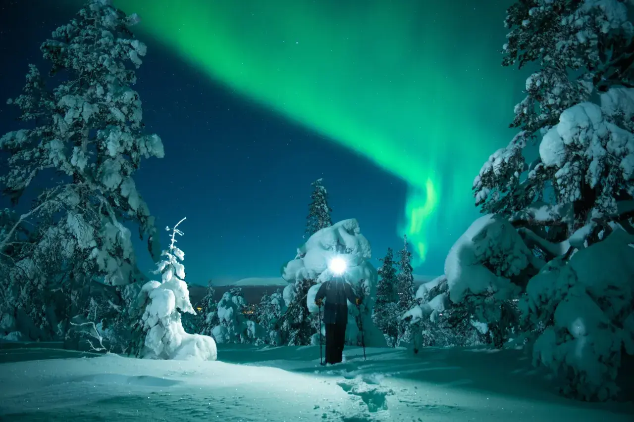 Ein einsamer Wanderer genießt den magischen Lappland Urlaub unter dem Nordlicht. Schneebedeckte Bäume und Sterne bilden die Kulisse.