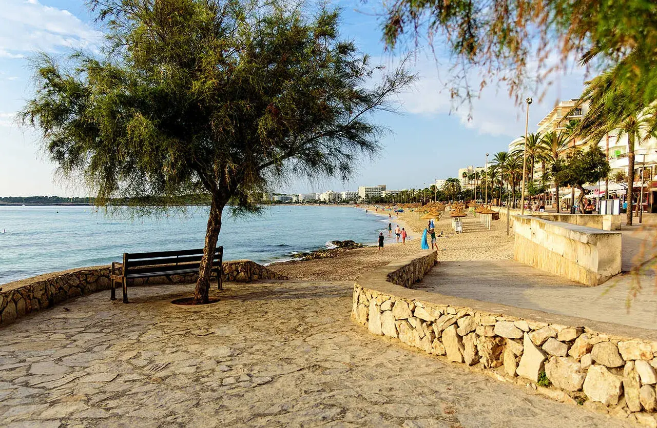 Ein Baum und eine Bank am Ufer der bucht Cala Millor. Im Hintergrund der Strand mit Palmen und Hotels.