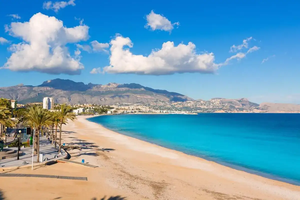 Traumhafter Strand mit Palmen und türkisfarbenem Meer. Perfekt für eine Reise mit dem Auto ans Mittelmeer.