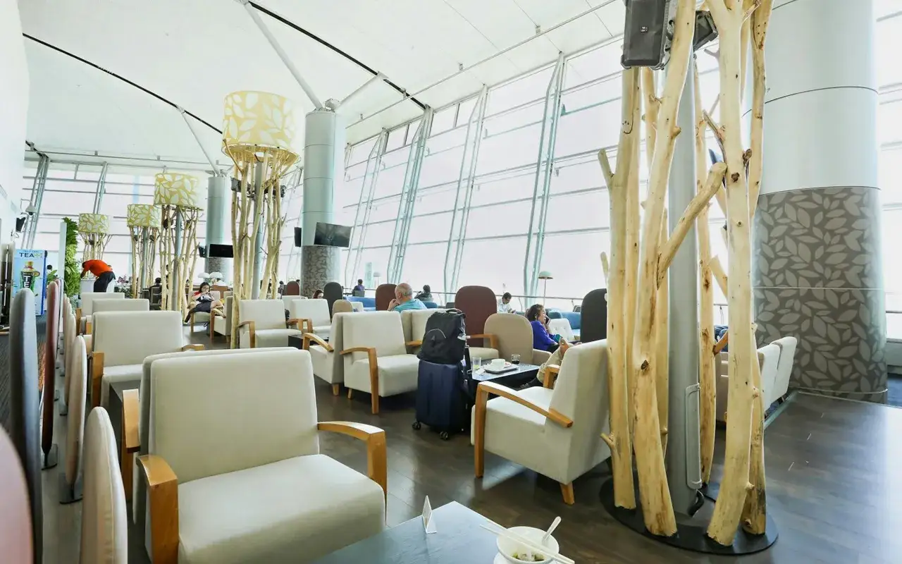 Gemütliche airport VIP lounge mit bequemen Sesseln, großen Fenstern und natürlicher Dekoration.