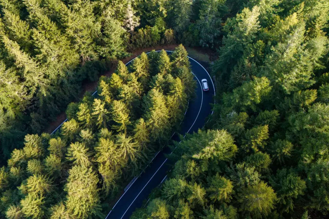 Ein Auto f&auml;hrt auf einer kurvigen Stra&szlig;e durch einen dichten Wald. F&uuml;r solche Ausfl&uuml;ge braucht man auf Madeira einen Mietwagen.