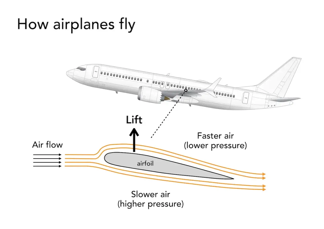 Illustration erklärt, warum ein Flugzeug fliegt: Luftströmung um ein Tragflächenprofil erzeugt Auftrieb durch Druckunterschiede.