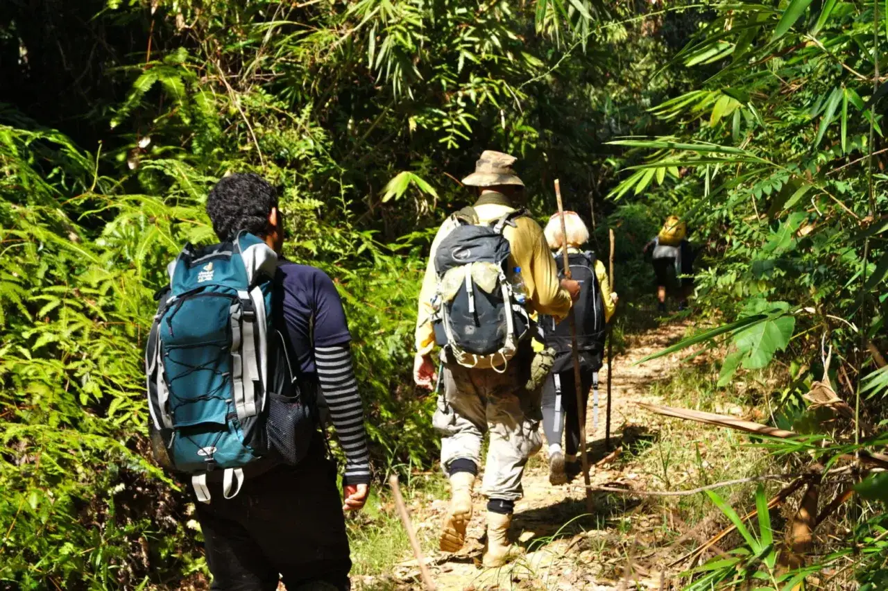 Wanderer mit Rucksäcken auf einem Pfad im Dschungel. Die Packliste für Malaysia sollte unbedingt Wanderausrüstung beinhalten.