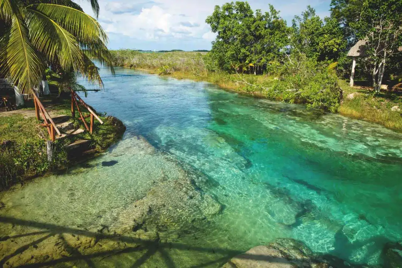 Traumhafter Mexikourlaub: T&uuml;rkisblaues Wasser flie&szlig;t unter Palmen und &uuml;ppiger Vegetation. Ein perfekter Ort zum Entspannen.