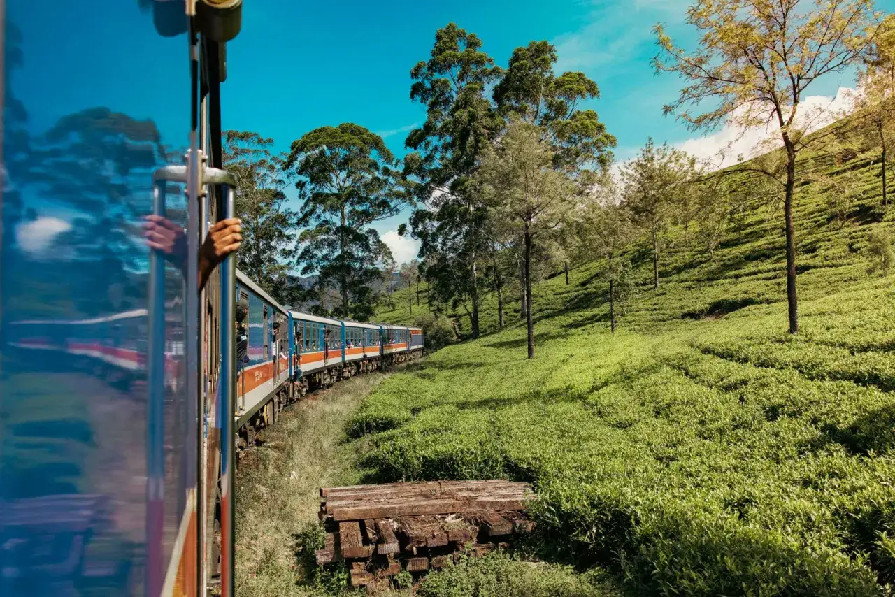 Zugfahrt durch grüne Teeplantagen in Sri Lanka. Hände greifen nach dem Fensterrahmen, während die Landschaft vorbeizieht.