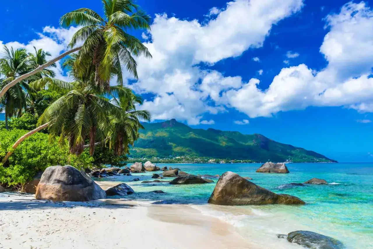 Traumhafter Strand auf den Seychellen mit Palmen, Granitfelsen und türkisfarbenem Wasser. Perfekt für die seychellen beste reisezeit.