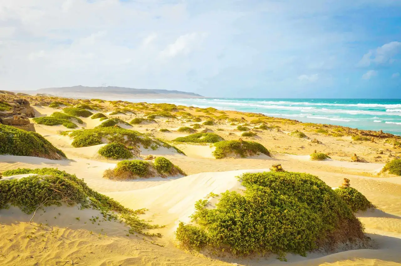 Sanddünen mit grüner Vegetation und dem türkisfarbenen Meer im Hintergrund, ein malerischer Blick auf Boa Vista.