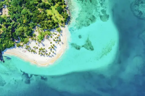 Traumhafter Strand mit Palmen und türkisfarbenem Wasser. Perfekte Urlaub in der Karibik Tipps für Entspannung und Sonne.