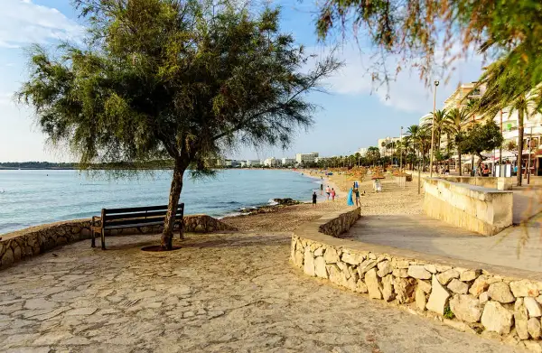 Ein Baum und eine Bank am Ufer der bucht Cala Millor. Im Hintergrund der Strand mit Palmen und Hotels.